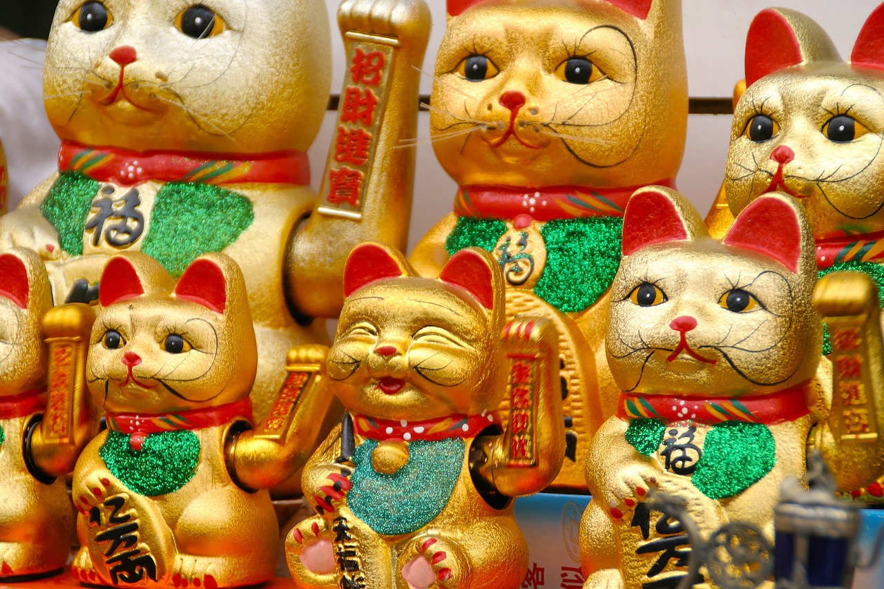 最新Kitty猫卡通图片，探索魅力四溢的卡通世界