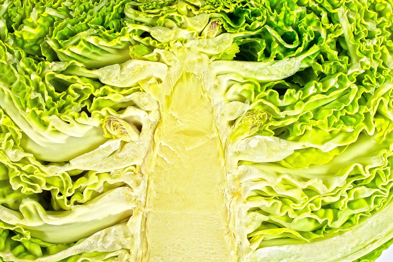 清风不语 第4页
