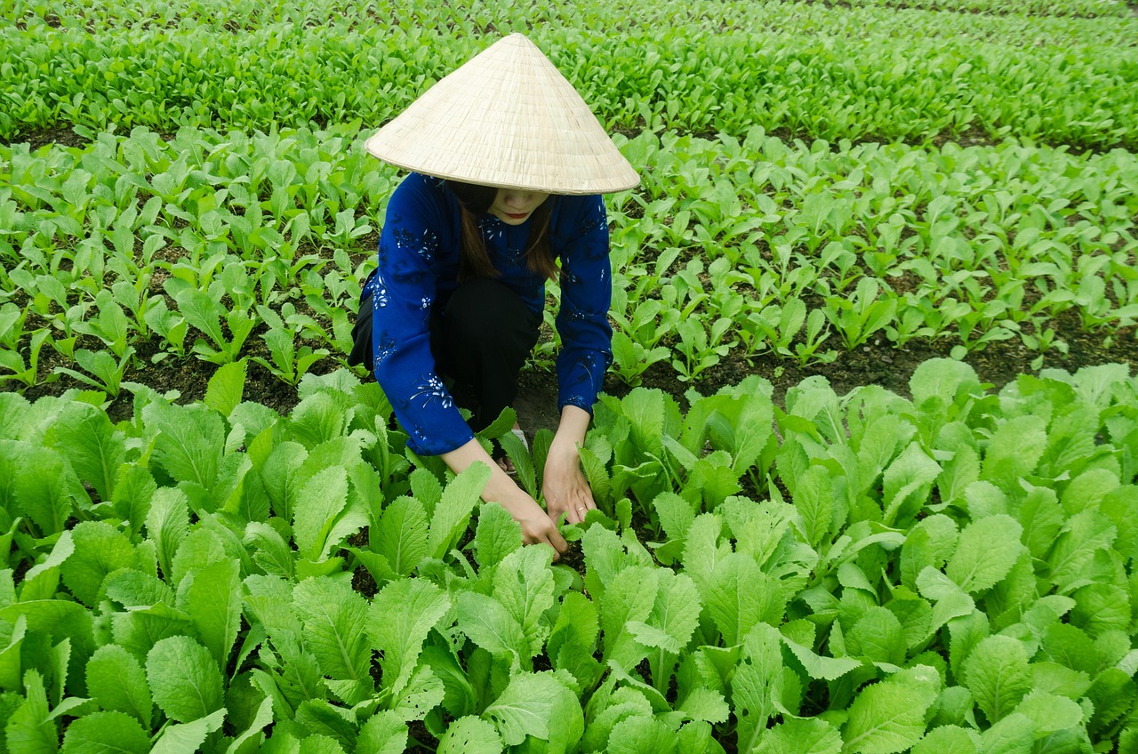 鹿寨江口，发展与变革的最新动态与脉搏