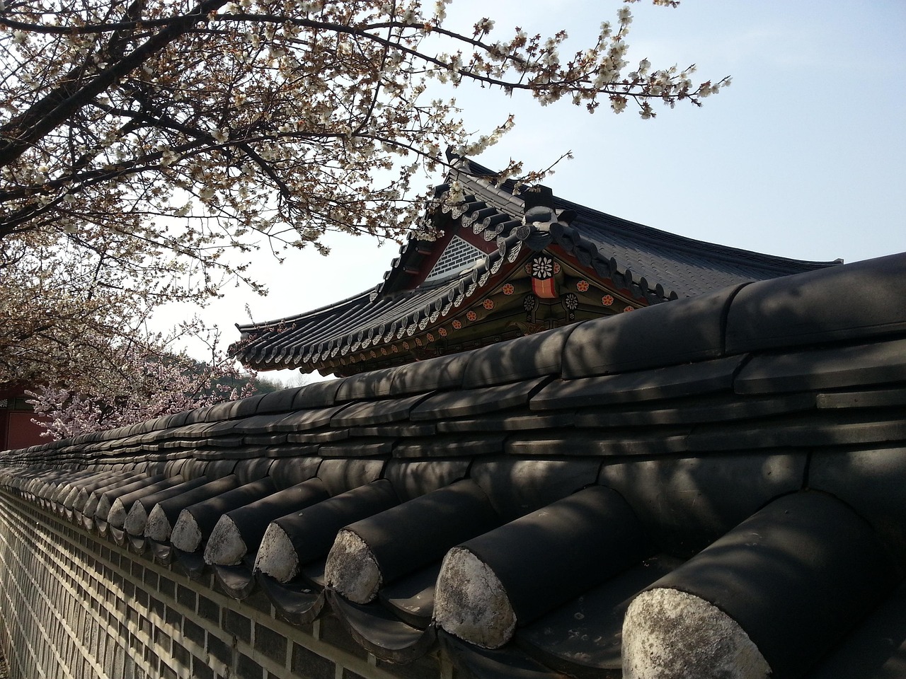 四月，吾道的新篇章